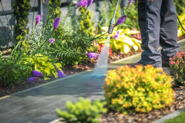Best Gas Station Cleaning  in St Augustine Shores, FL